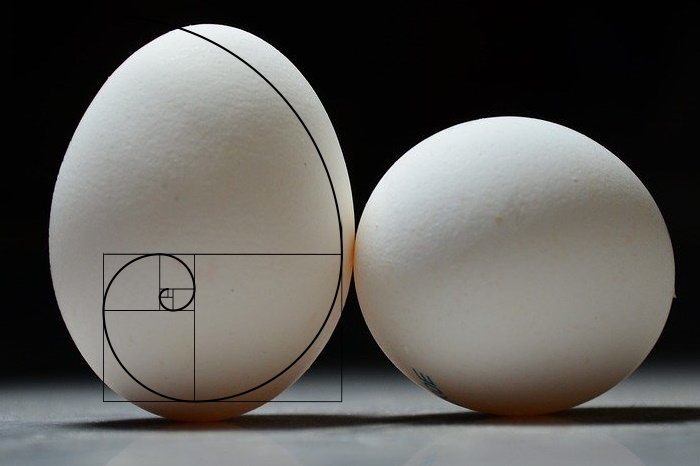Φ - Matematica segreta dell'Uovo
