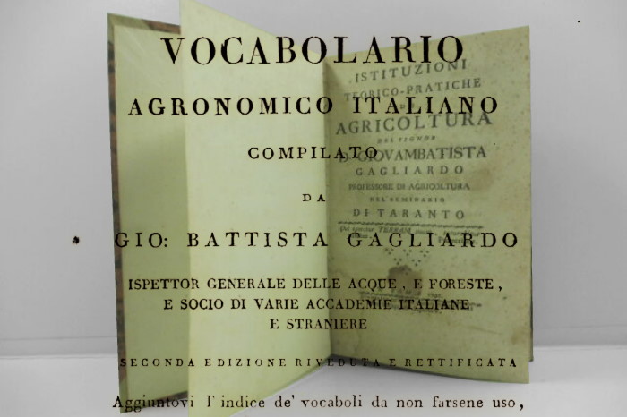 Giovan Battista Gagliardo