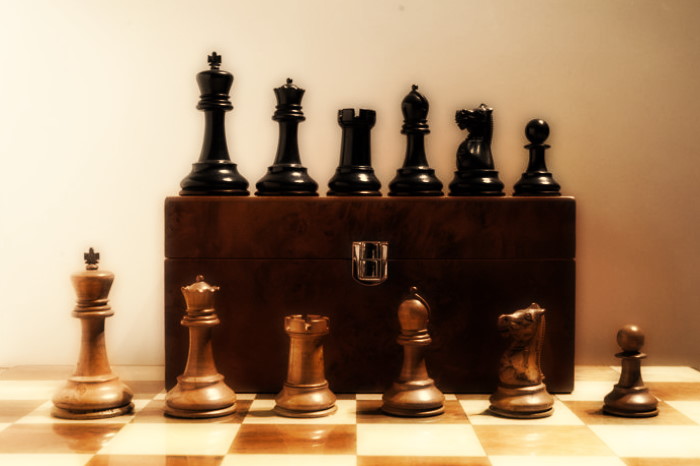 Il Gioco degli Scacchi