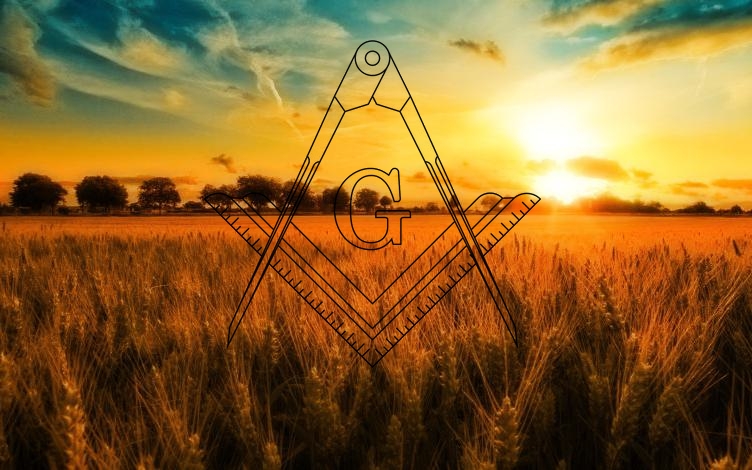 Svegliarsi ogni mattina